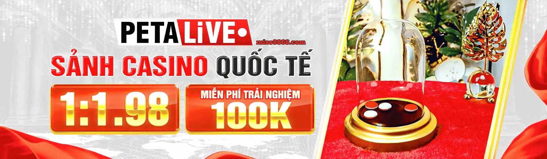 Sảnh Petalive banner